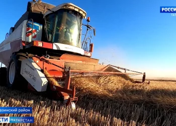 Аграрии Ютазинского района вышли на финишную прямую