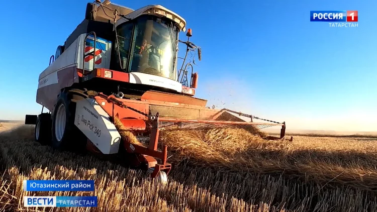 Аграрии Ютазинского района вышли на финишную прямую
