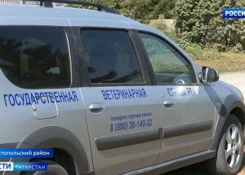 В Татарстане установилась атмосферная засуха