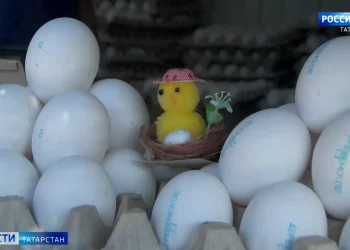 Медики Татарстана предупредили о волне кишечных инфекционных заболеваний