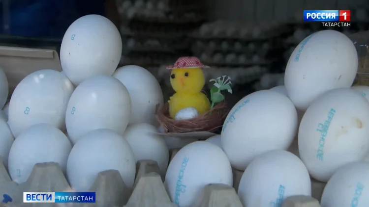 Медики Татарстана предупредили о волне кишечных инфекционных заболеваний