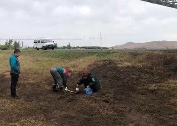 Экологи отобрали пробы почвы на месте столкновения двух легковушек и КАМАЗа