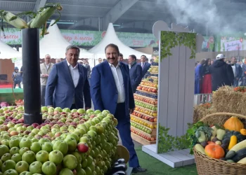 Татарстан выделит более полумиллиарда рублей на развитие садовых товариществ