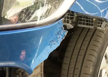 В Зеленодольске стая бродячих собак разодрала машину на 150 тысяч рублей