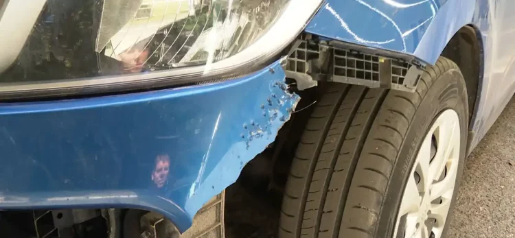 В Зеленодольске стая бродячих собак разодрала машину на 150 тысяч рублей