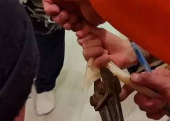 В Альметьевске спасатели освободили девочку, застрявшую в вешалке