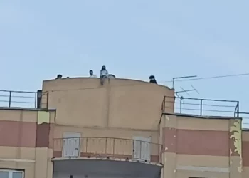 В Казани подростки забрались на крышу 16-этажного дома