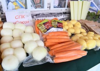  7 дней (18.09.22)