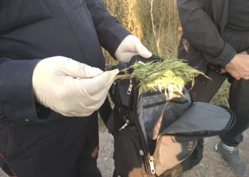 Полицейские Нижнекамска задержали мужчину с полным рюкзаком марихуаны