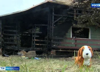 Забавы на высоте: в Казани подростки устроили прогулку по крыше 16-этажного дома