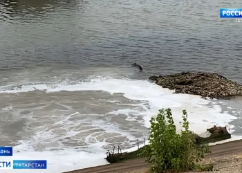 Вирус коварен и не отступает: в Татарстане продолжает расти заболеваемость коронавирусом