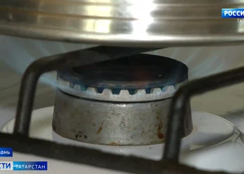 Казанцу, зарубившему топором хоккеиста, ужесточили наказание