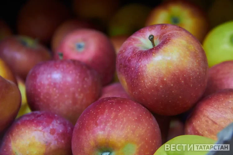 ДУМ РТ объявило сбор средств в поддержку участников спецоперации