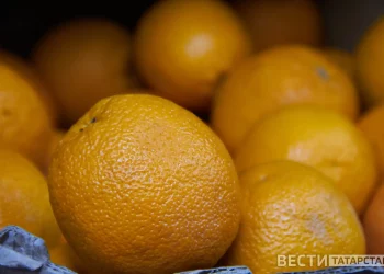 ДУМ РТ объявило сбор средств в поддержку участников спецоперации