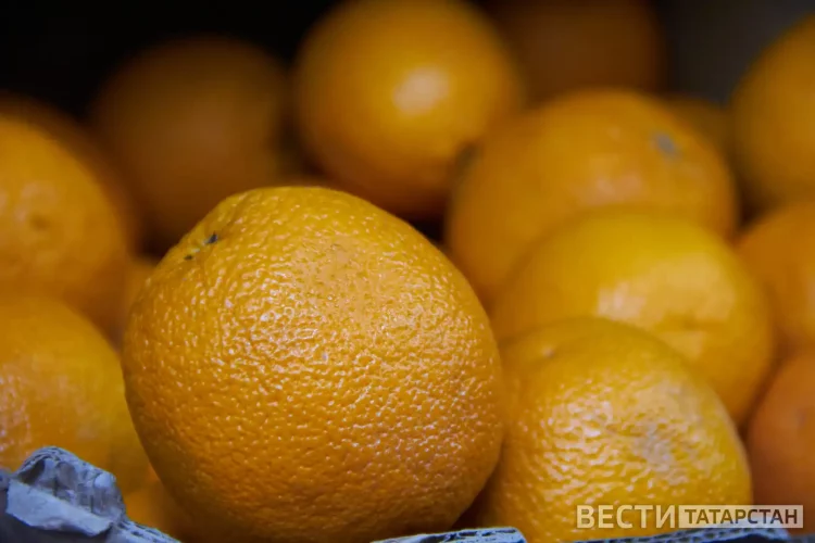 ДУМ РТ объявило сбор средств в поддержку участников спецоперации