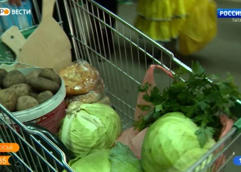 Жители Казани смогут обменяться излишком урожая на ярмарке — фудшеринг