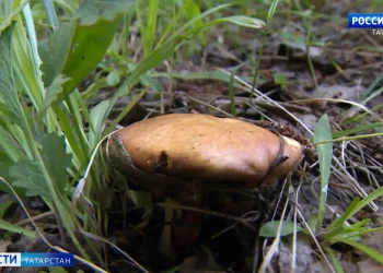 Казань получит заказ на 40 гражданских ТУ-214