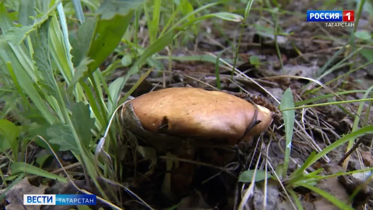 Казань получит заказ на 40 гражданских ТУ-214