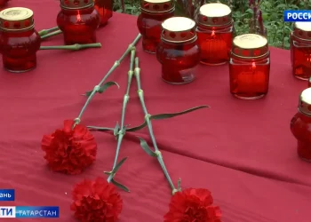 Пакет социальных гарантий: правительство страны одобрило меры соцподдержки мобилизованным