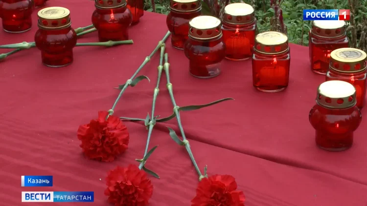 Пакет социальных гарантий: правительство страны одобрило меры соцподдержки мобилизованным