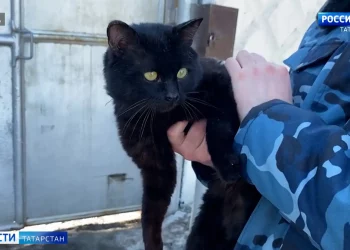 В Казани назвали сроки начала отопительного сезона