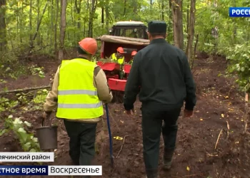 Молочный ценопад: фермеры Татарстана жалуются на низкую закупочную стоимость молока