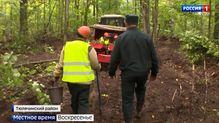 Молочный ценопад: фермеры Татарстана жалуются на низкую закупочную стоимость молока