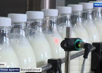 Молочный ценопад: фермеры Татарстана жалуются на низкую закупочную стоимость молока