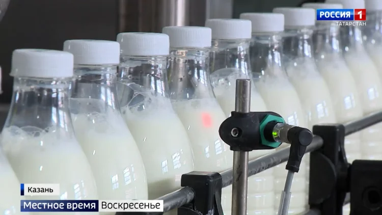 Молочный ценопад: фермеры Татарстана жалуются на низкую закупочную стоимость молока