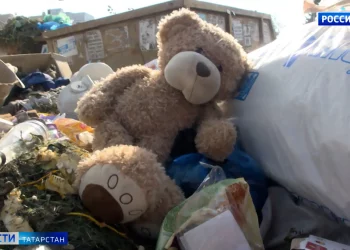 Жители поселка Царицыно пожаловались на мусорные горы