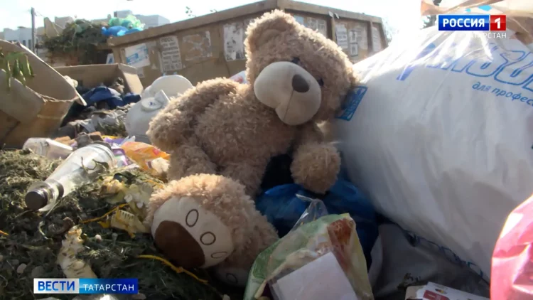 Жители поселка Царицыно пожаловались на мусорные горы