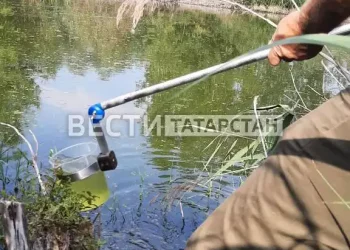 Экологи отобрали пробы воды в «покрасневшем» озере в Казани
