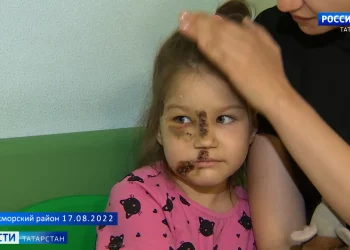 В Казанском Кремле запустили бесплатные экскурсии для людей с ограниченными возможностями здоровья