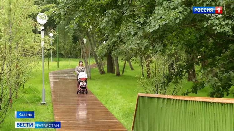 Метеоролог рассказал, когда в Татарстане ждать бабье лето