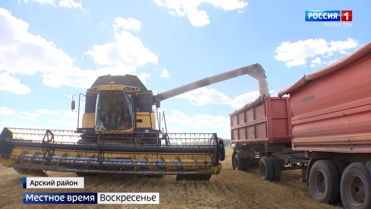 Уборочная кампания в Татарстане подходит к финишной прямой