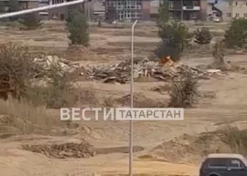 Жители Куюков пожаловались на любителя больших костров