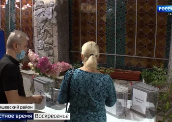 В 4 городах Татарстана работают участки для референдума в ЛНР, ДНР, Запорожской и Херсонской областях