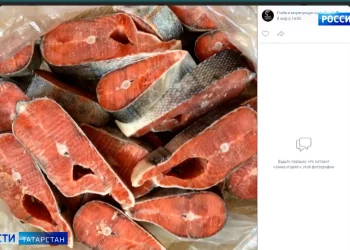 Аграрии Татарстана собрали более 5 млн тонн зерна