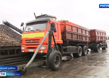В Казани организовали пункты юридической и медицинской помощи мобилизованным