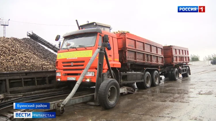 В Казани организовали пункты юридической и медицинской помощи мобилизованным