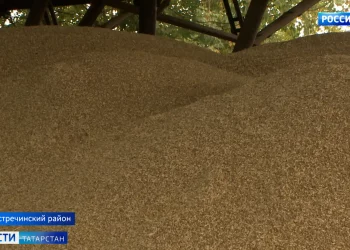 Выбирая будущее с Россией: как проходят заключительные дни референдумов в Татарстане