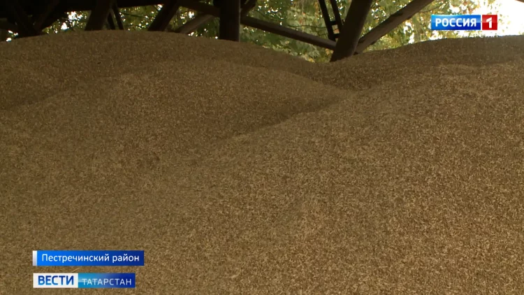 Выбирая будущее с Россией: как проходят заключительные дни референдумов в Татарстане