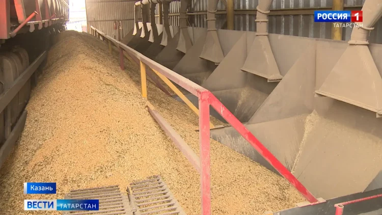 Аграрии Татарстана собрали более 5 млн тонн зерна