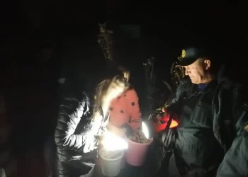 В Елабужском районе две женщины заблудили в лесу, когда собирали грибы