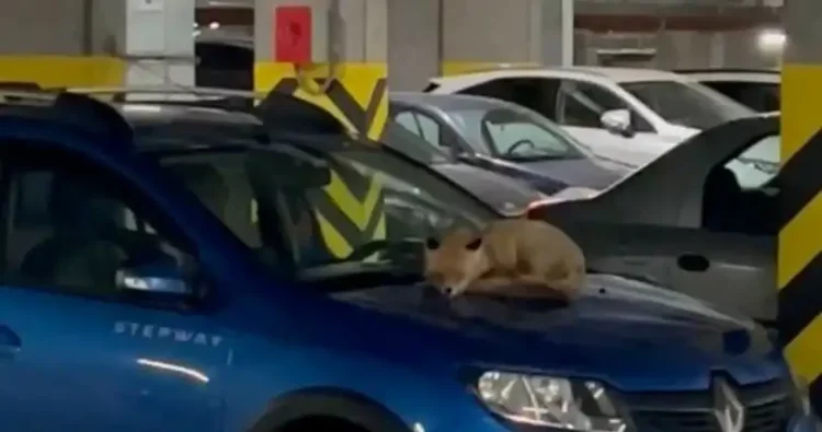 Роберт Искандаров стал новым руководителем исполкома Менделеевского района