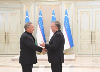 Рустам Минниханов встретился с Президентом Узбекистана