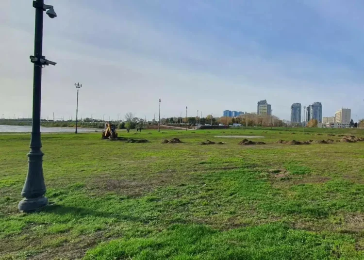 В Казани приступили к установке новогодней елки у «Чаши»