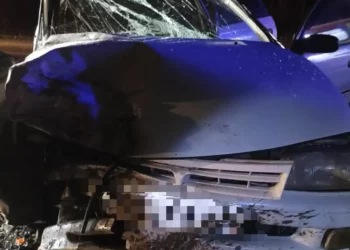 Четыре человека пострадали в столкновении легковушек на трассе в Татарстане