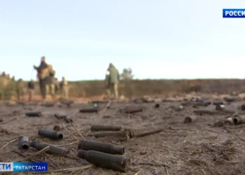 Мобилизованные о тренировках на полигоне: «К постоянным взрывам за спиной мы уже привыкли»