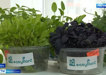 Тысячи казанцев не смогли оплатить проезд в метро банковскими картами